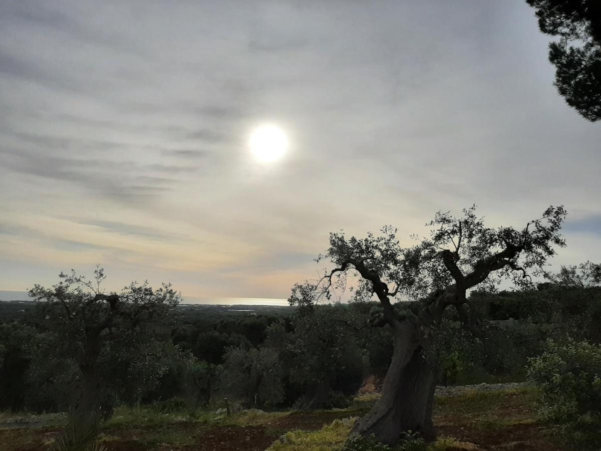 مونوبولي Alla Panoramica المظهر الخارجي الصورة