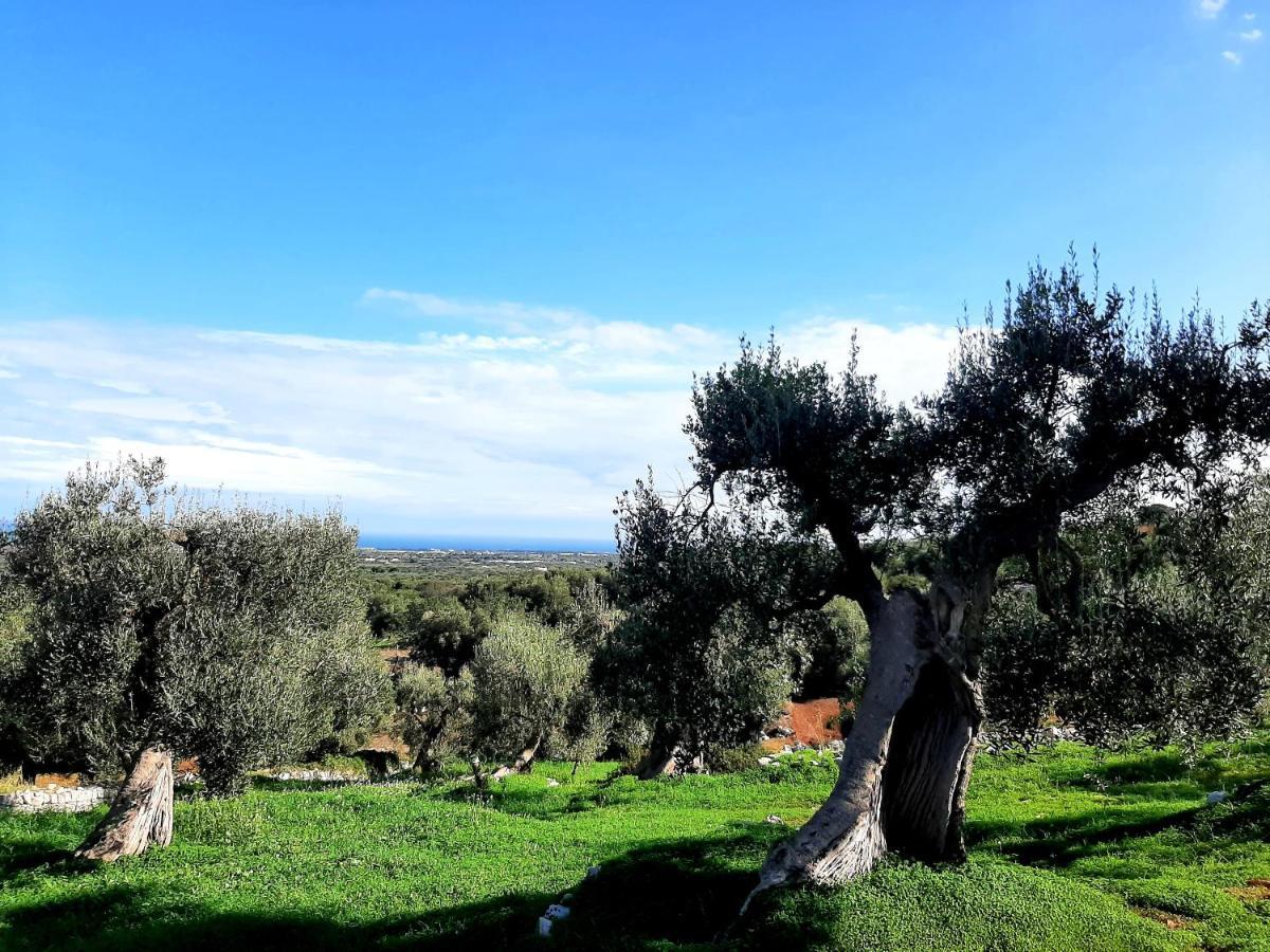 مونوبولي Alla Panoramica المظهر الخارجي الصورة