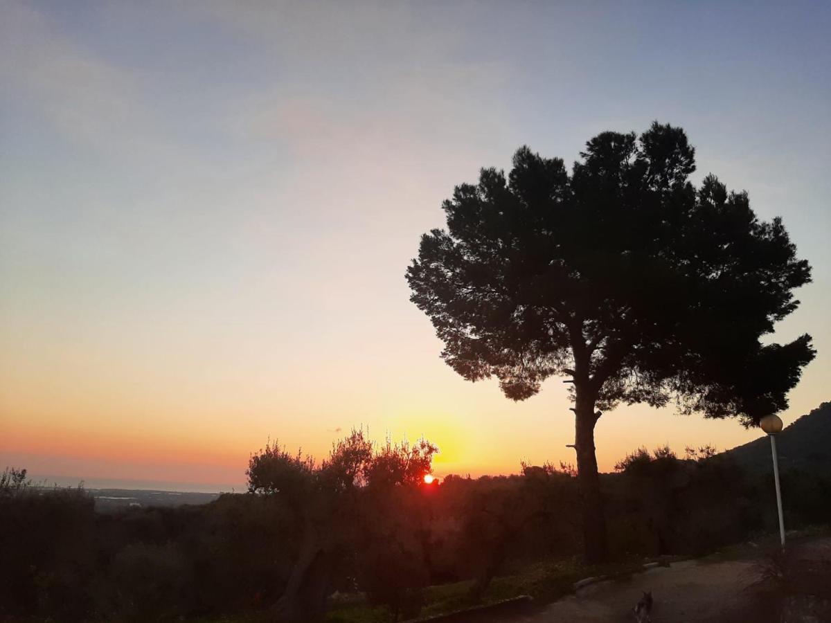 مونوبولي Alla Panoramica المظهر الخارجي الصورة